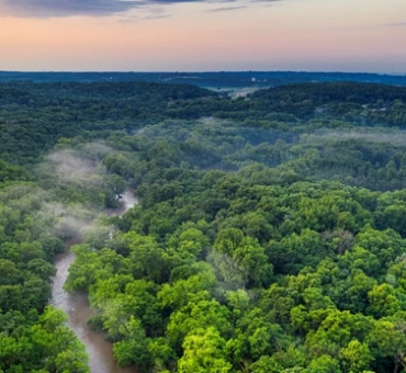 Amazzonia-editoriale