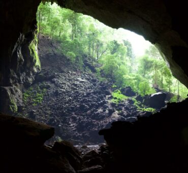 Garden of Eden